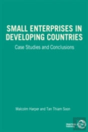 Small Enterprises In Developing Countries