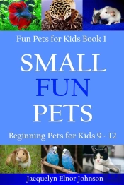 Small Fun Pets : Beginning Pets For Kids 9-12