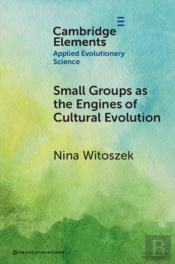 Small Groups As The Engines Of Cultural Evolution
