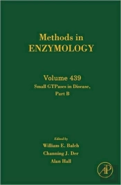 Small Gtpases In Disease, Part B