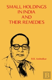 Small Holdings In India And Their Remedies