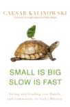 Small Is Big, Slow Is Fast