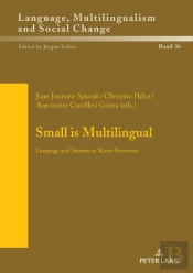 Small Is Multilingual