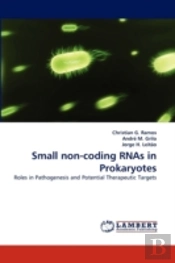Small Non-Coding Rnas In Prokaryotes