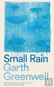Small Rain