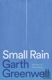Small Rain