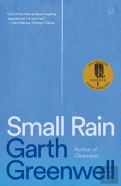 Small Rain