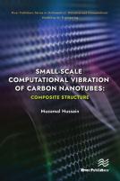 Small-Scale Computational Vibration Of Carbon Nanotubes: Composite Structure