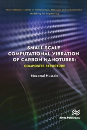 Small-Scale Computational Vibration Of Carbon Nanotubes: Composite Structure