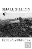 Small Sillion