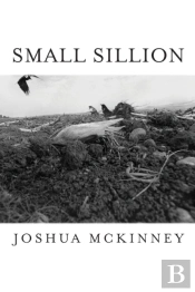 Small Sillion