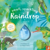 Small, Sparkling Raindrop