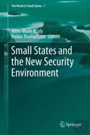 Small States And The New Security Environment