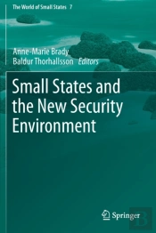 Small States And The New Security Environment