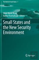 Small States And The New Security Environment