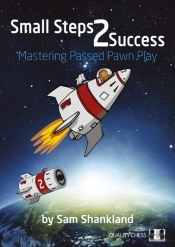 Small Steps 2 Success