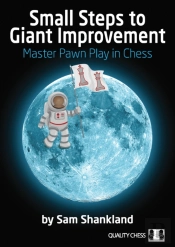Small Steps To Giant Improvement