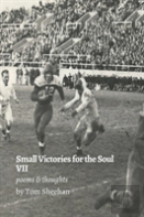 Small Victories For The Soul Vii