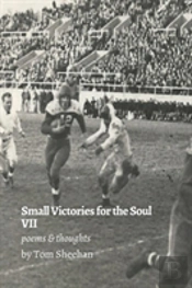 Small Victories For The Soul Vii