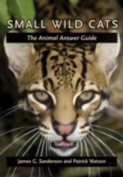 Bertrand.pt - Small Wild Cats