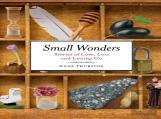 Small Wonders