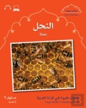 Small Wonders: Bees