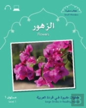 Small Wonders: Flowers