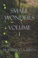 Small Wonders I