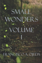 Small Wonders I