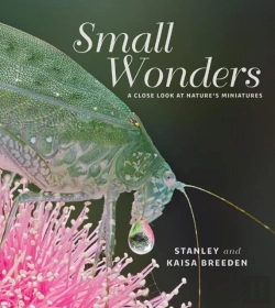 Bertrand.pt - Small Wonders