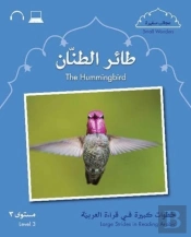 Small Wonders: The Hummingbird