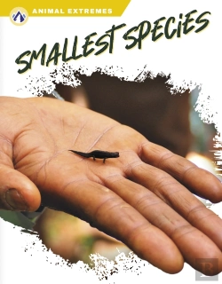 Bertrand.pt - Smallest Species