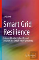 Smart Grid Resilience