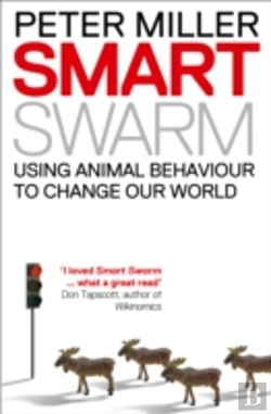 Bertrand.pt - Smart Swarm