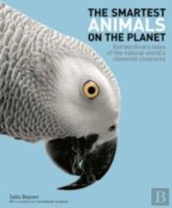 Bertrand.pt - Smartest Animals On The Planet