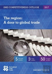 Sme Competitiveness Outlook 2017