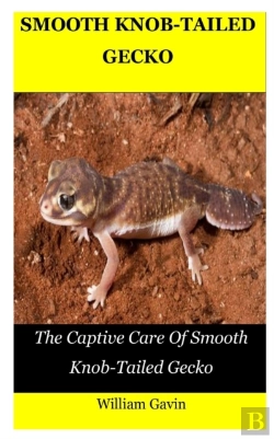 Bertrand.pt - Smooth Knob-Tailed Gecko