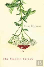 Smooth Yarrow