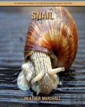Snail