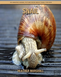 Bertrand.pt - Snail