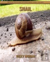 Snail