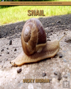 Bertrand.pt - Snail