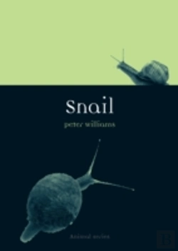 Bertrand.pt - Snail