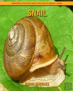 Bertrand.pt - Snail