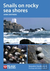 Snails On Rocky Sea Shores
