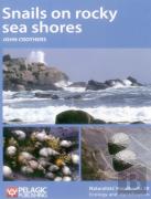 Snails On Rocky Sea Shores