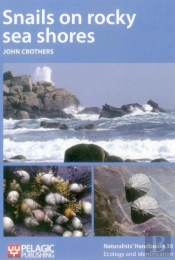 Snails On Rocky Sea Shores