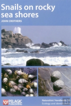 Bertrand.pt - Snails On Rocky Sea Shores