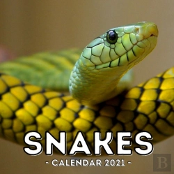 Bertrand.pt - Snake Calendar 2021