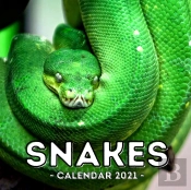 Snake Calendar 2021